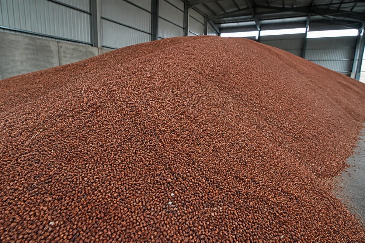 SORGO — Armazenagem a granel